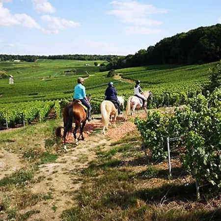 Holiday home Le Gue Tranquille 2h From Paris Clamanges
